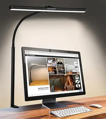 Desk Lamp for Office Home Flexible Gooseneck Task Light