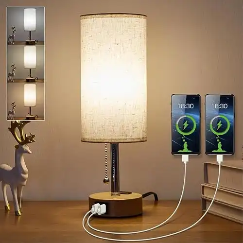 Lamp with USB C and A Ports 3 Color Temperatures